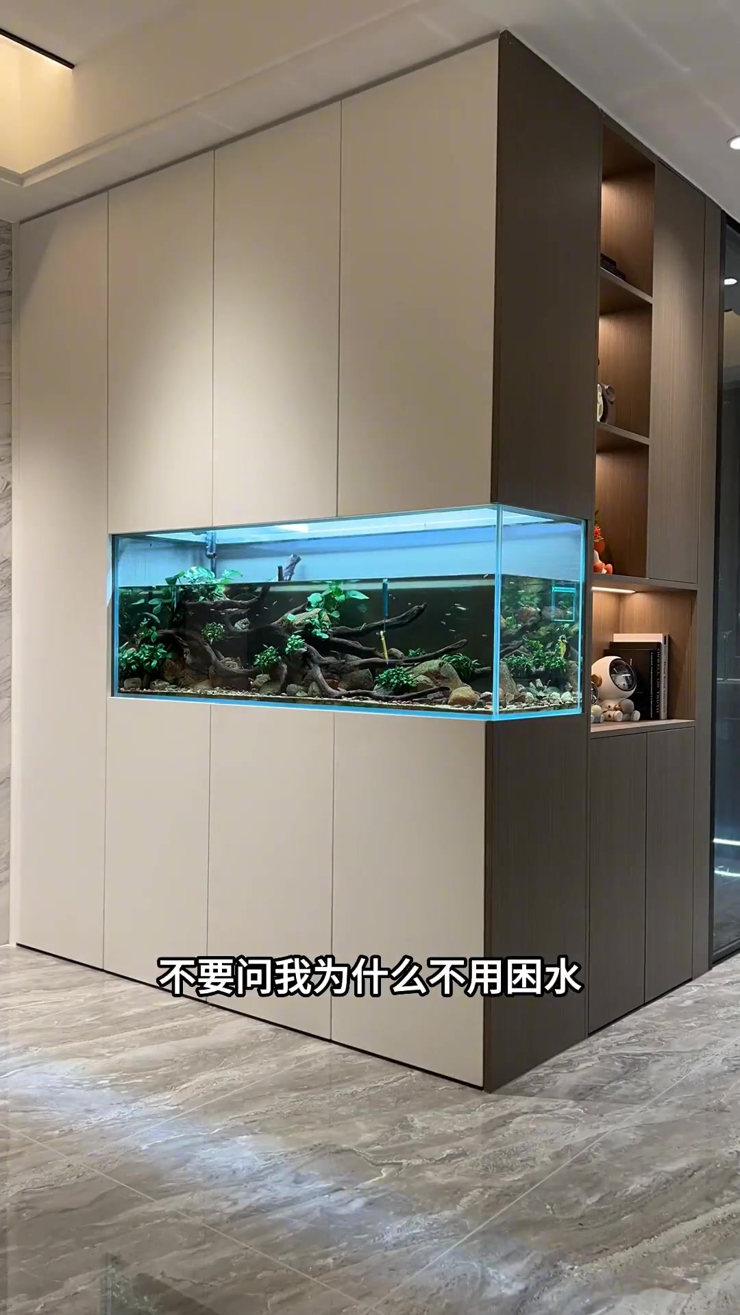 没想到一个简简单单的嵌入式生态鱼缸柜,还要注意这么多细节 极简鱼缸柜 嵌入式鱼缸 装修 生
