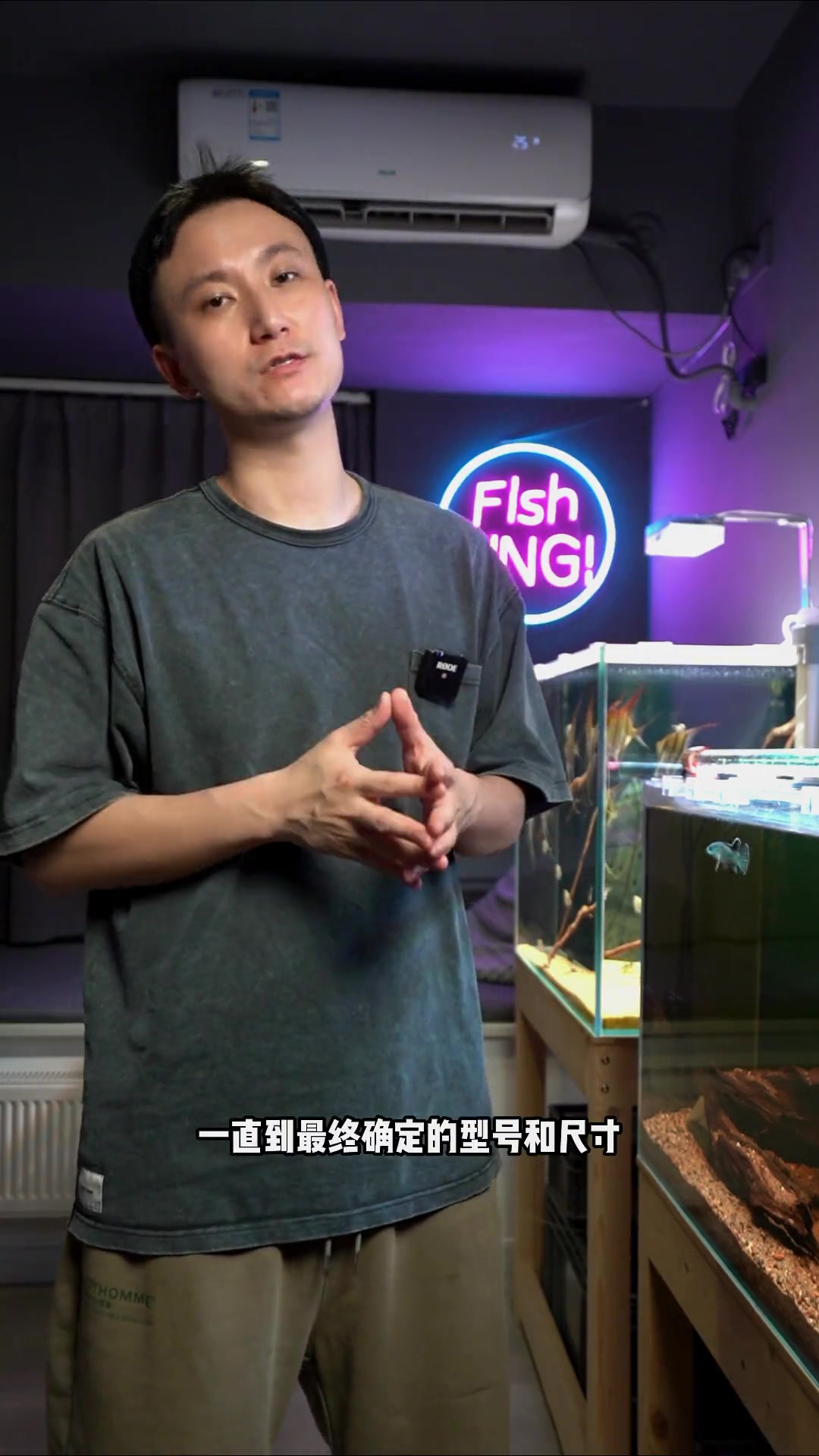 你们要的马印雷龙短款灯来了,预售已经开启,找我预定有优惠。养鱼日记 雷龙鱼 鱼缸照明 马印