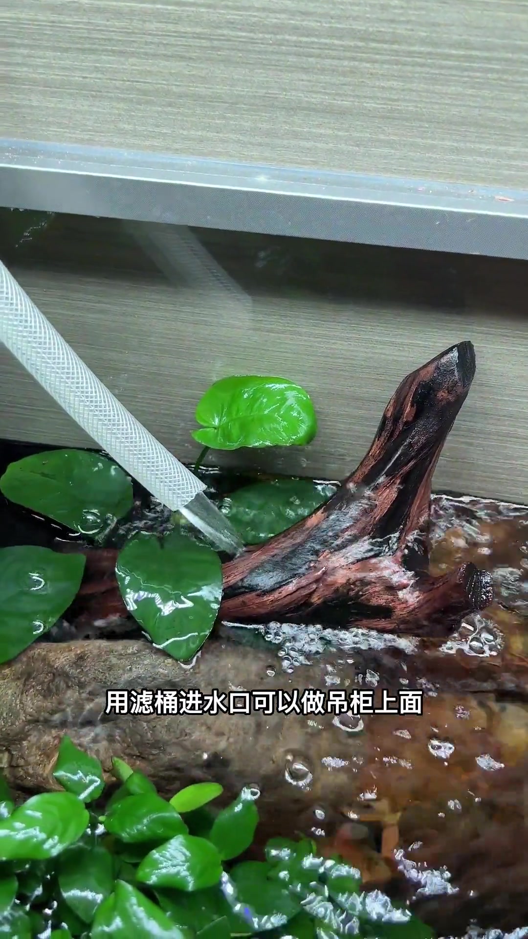 想把生态鱼缸搬到柜子里,那么装修前期一定要记住这6点 极简鱼缸柜 嵌入式鱼缸 装修 把大自