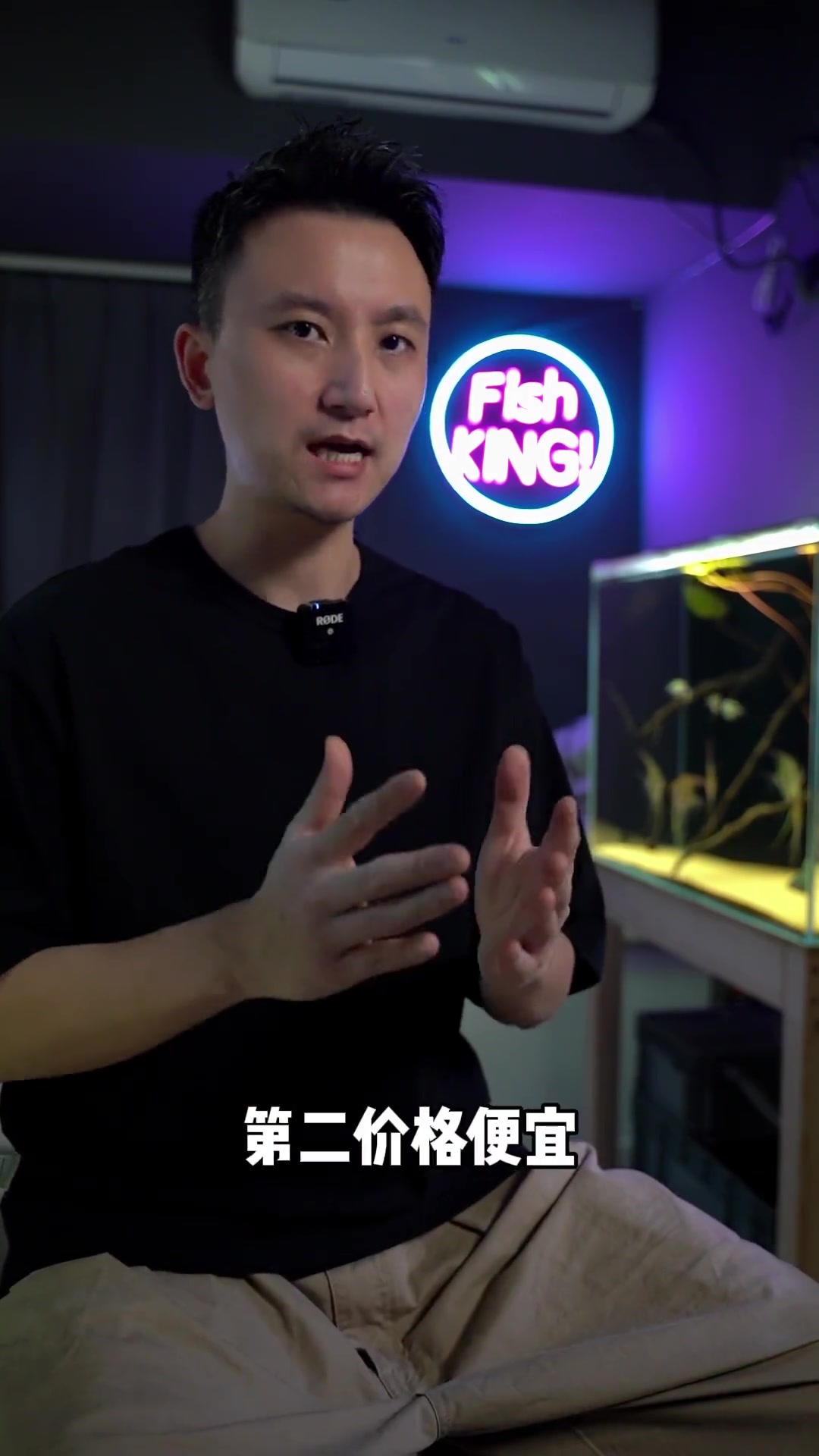 新手养鱼入坑指南 第3期 适合新手养的鱼 新手养鱼 新手养鱼入门基础教程 养鱼日记 养鱼 
