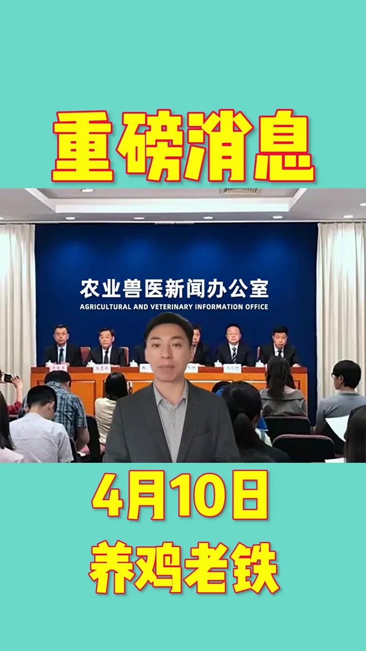 4月10日肉鸡毛鸡报价和鸡苗报价