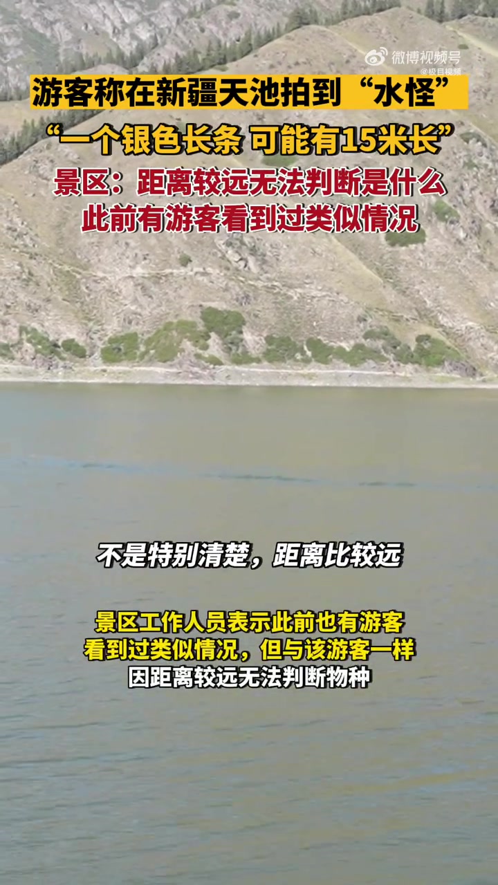 景区回应游客在天山天池发现不明物体「游客在天山天池发现“银色水怪”?景区:距离较远无法判断