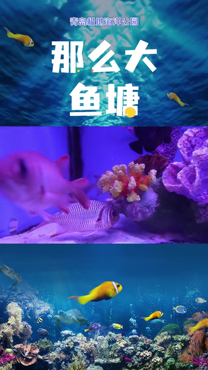 是谁的眼睛这么大啊!