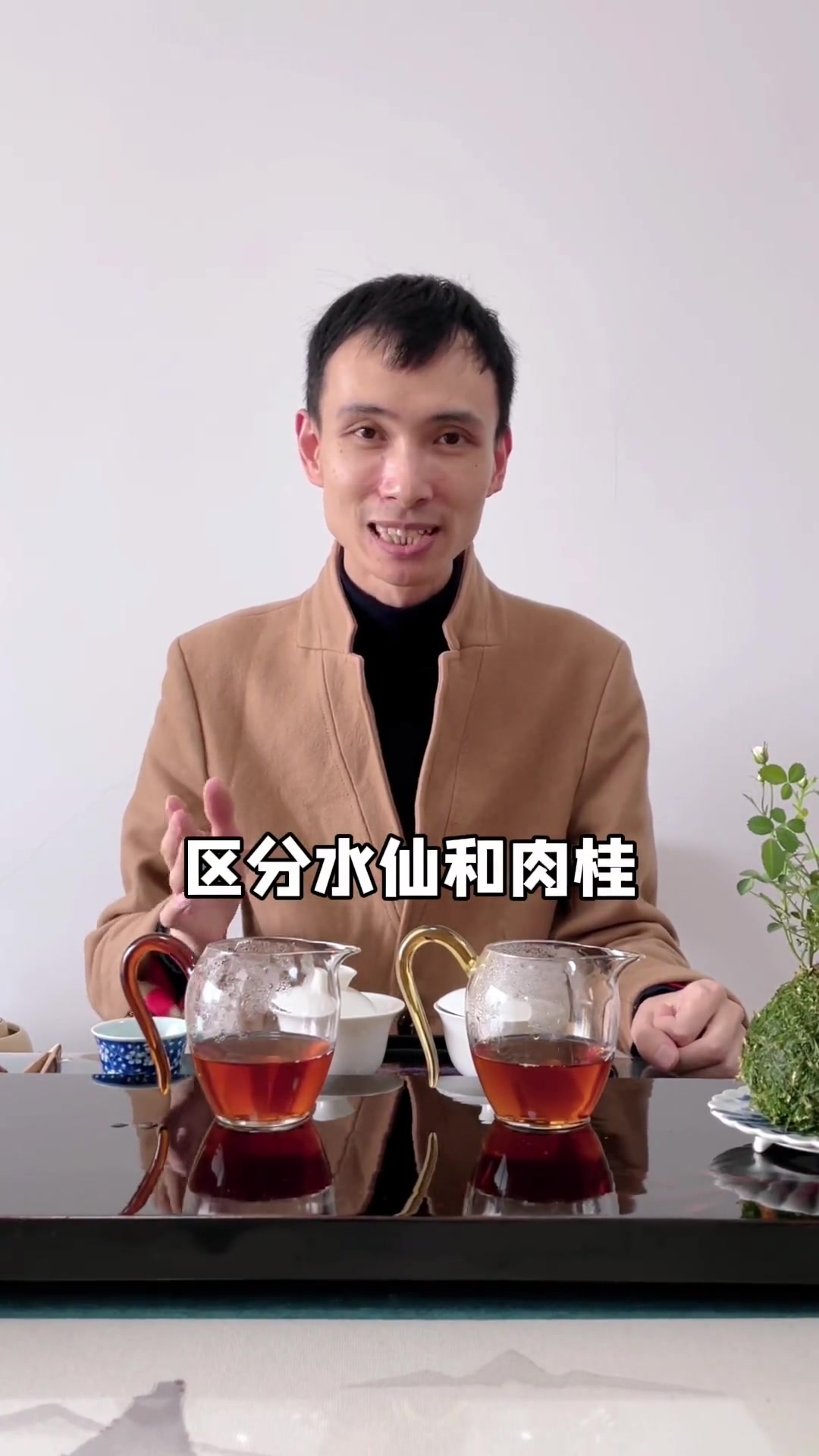 4招分清岩茶的水仙和肉桂!武夷岩茶 岩茶 茶知识 大红袍