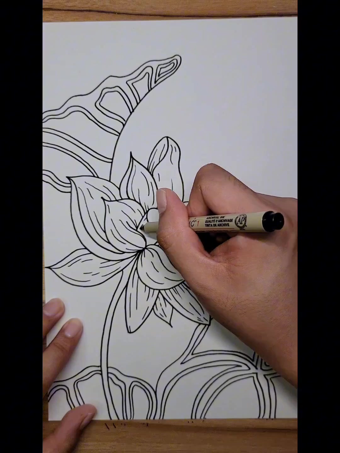 超简单的荷花创意线描画来啦,快快画起来吧~