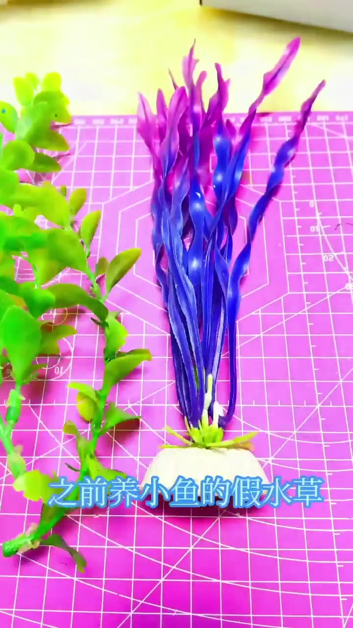孩子超喜欢的游戏～网小鱼～跟着我让您的孩子再也不玩手机了,还可以学到很多知识,这款拼音游戏