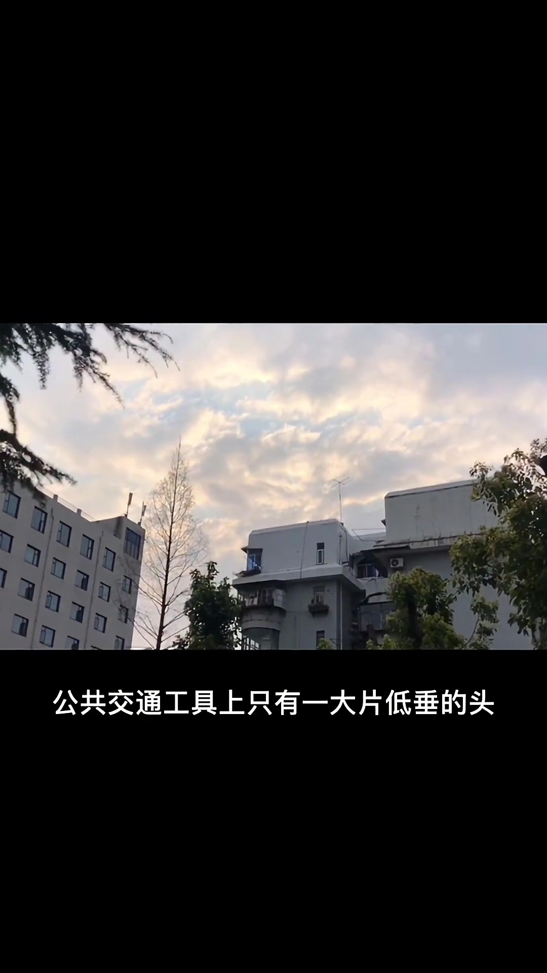 默读 priest 所有人都在早出晚归的洪流中周而复始