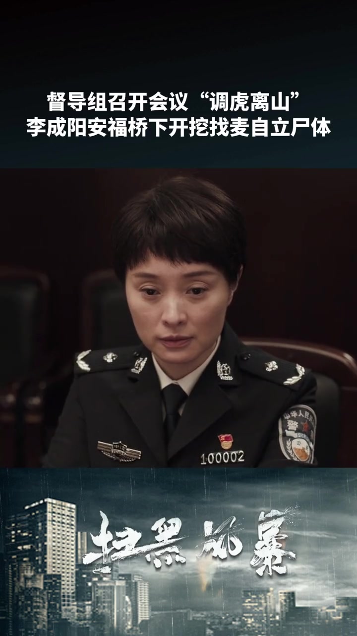 第44集 扫黑风暴 督导组召开会议“调虎离山”