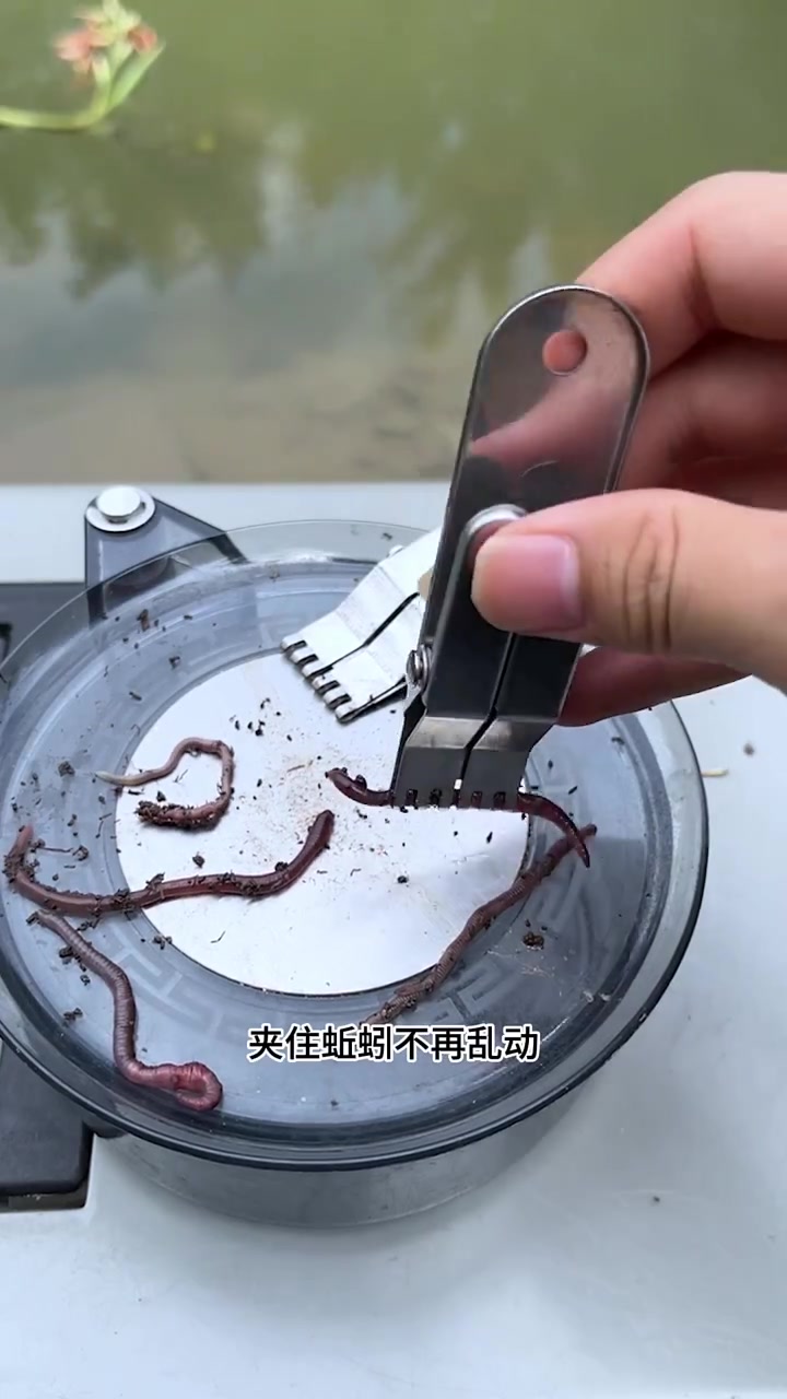 用蚯蚓钓鱼从来不空军,用这个蚯蚓夹挂蚯蚓非常方便还不脏手