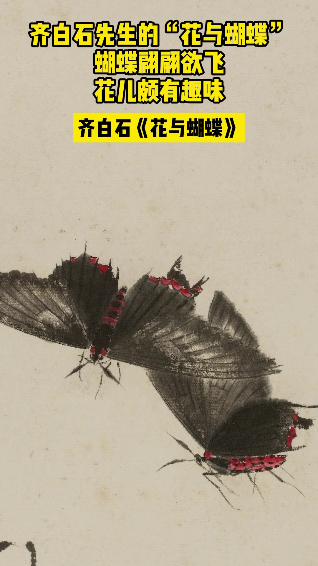 齐白石老先生画的蝴蝶