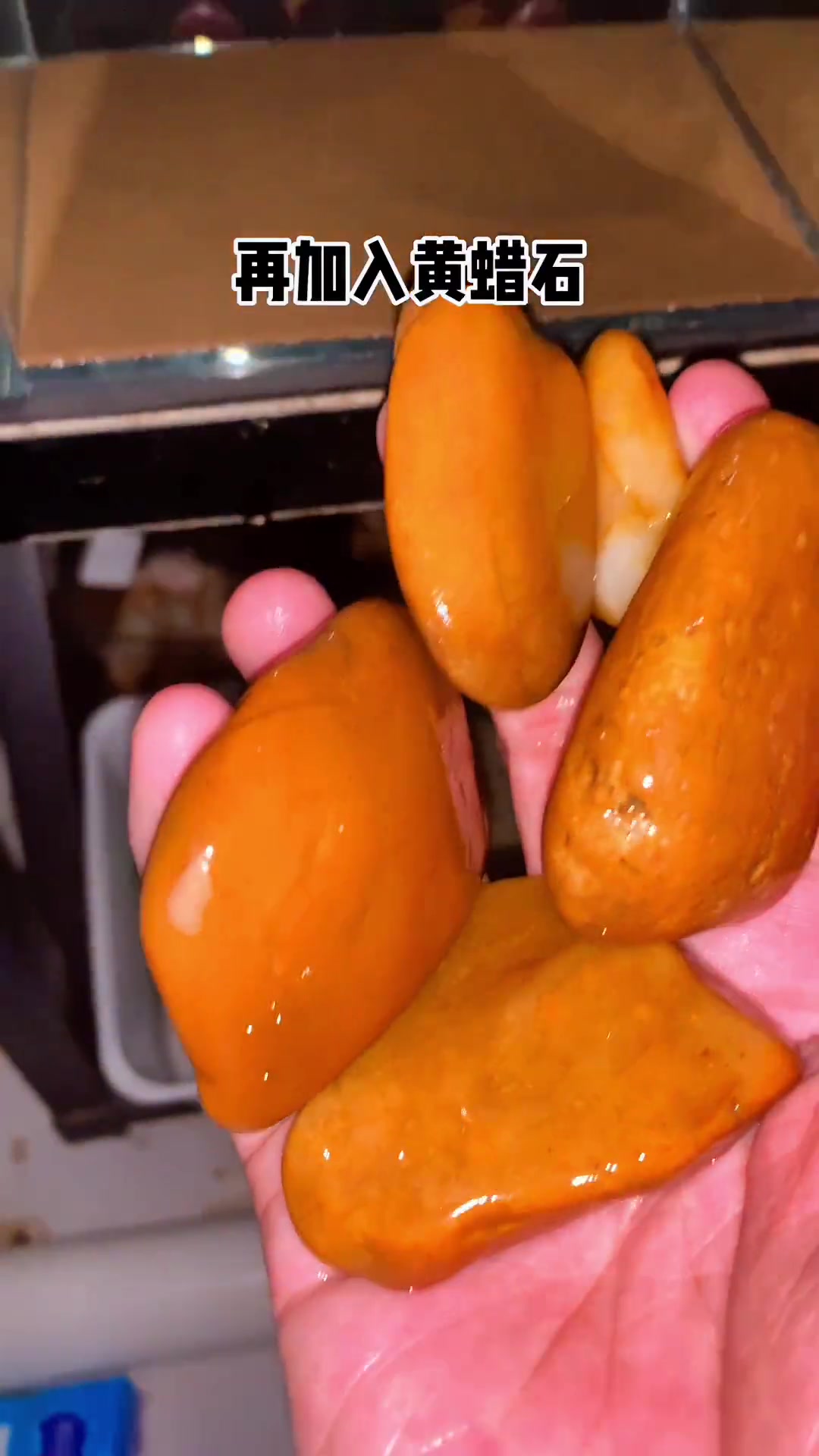 广东这几天太热了,又有理由开缸了。品种:将军斗鱼-青花瓷 斗鱼 将军斗鱼 养鱼