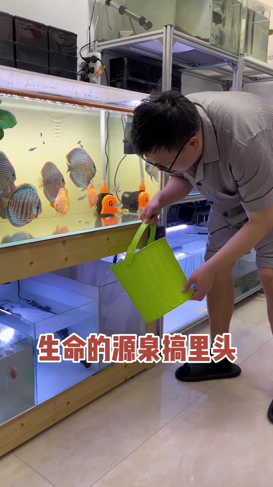 养鱼就是养个开心,这不又开个小缸 观赏鱼 热带鱼 水族 养鱼日记 七彩神仙鱼