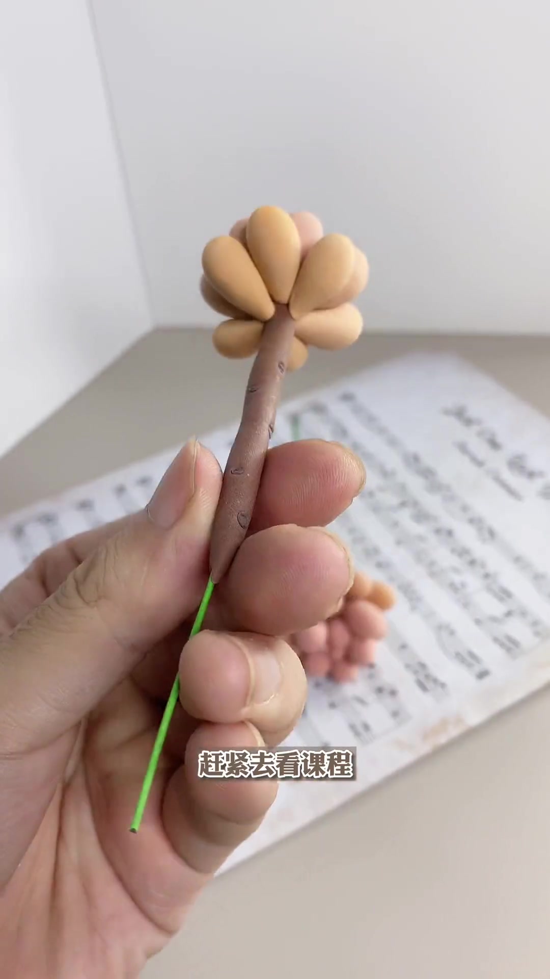 超轻粘土 粘土多肉植物 粘土桃蛋课程已经更新啦!
