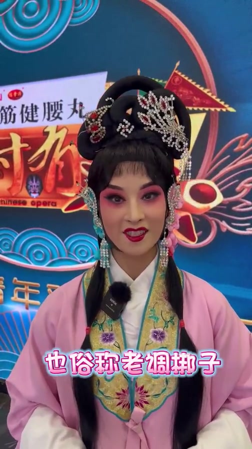 提到保定 你能想到的除了驴火还有啥?