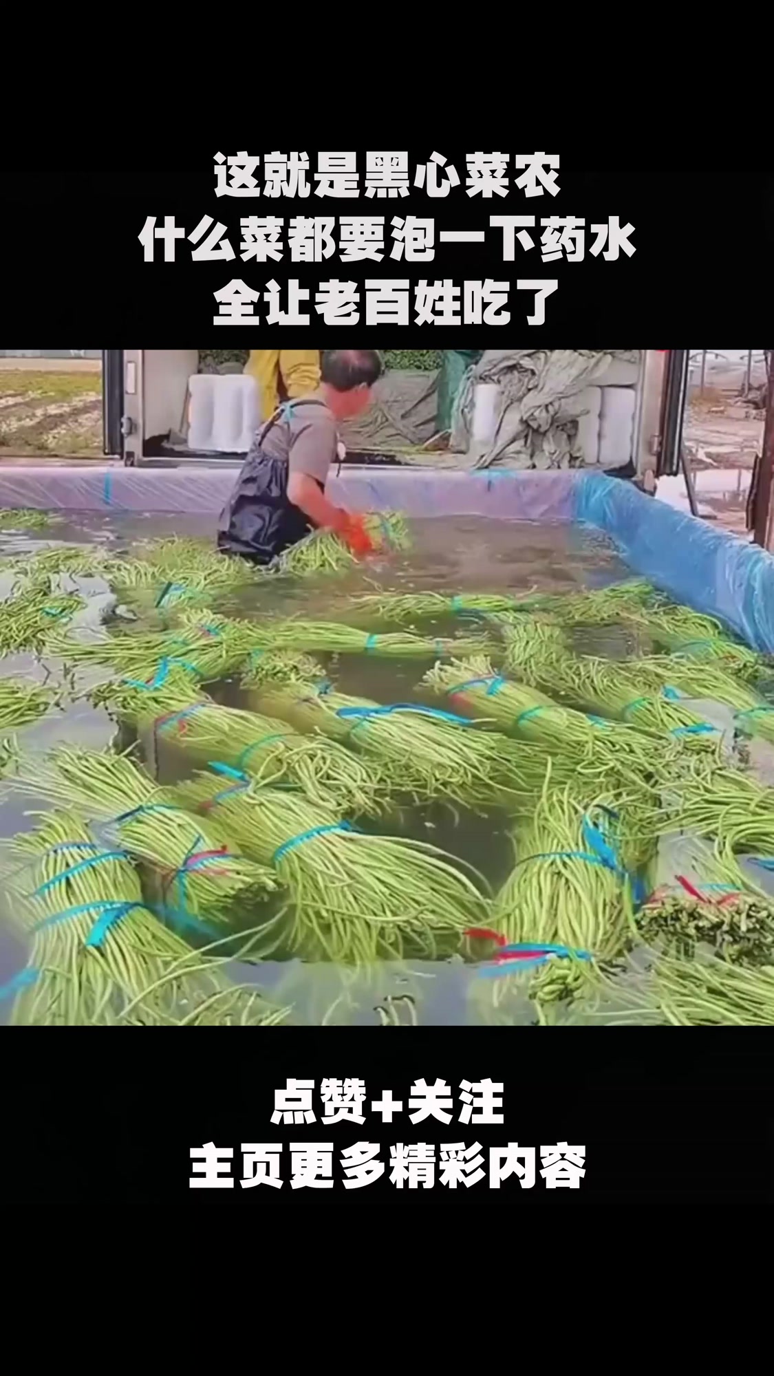 这就是黑心菜农,什么菜都要泡一下药水,全让老百姓吃了!