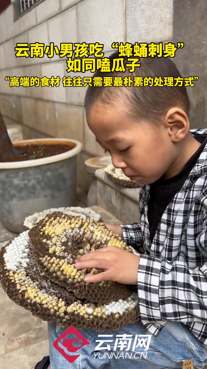 云南小男孩吃“蜂蛹刺身”,如同嗑瓜子。“高端的食材,往往只需要最朴素的处理方式”。来源:立
