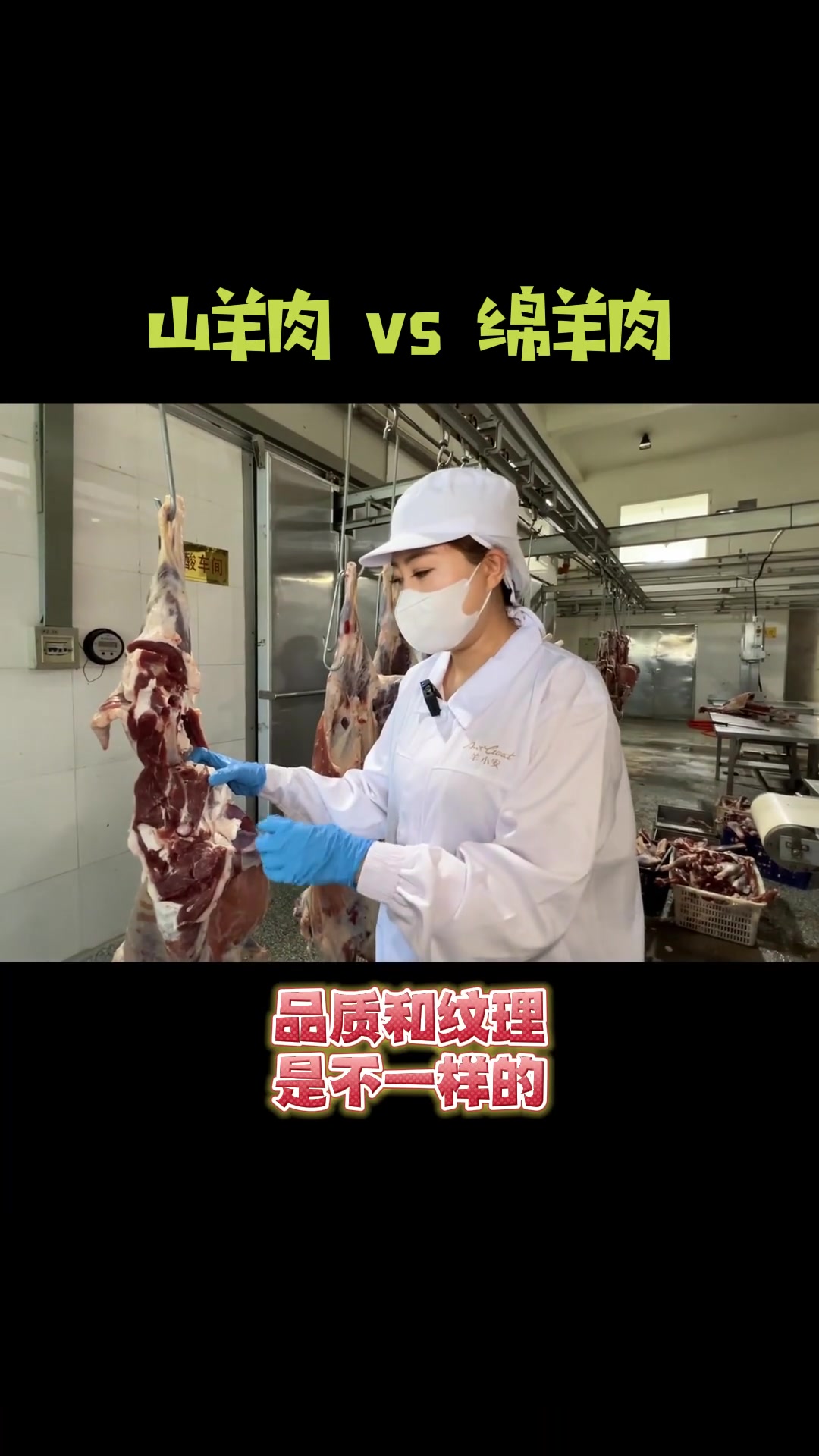 山羊肉VS绵羊肉
