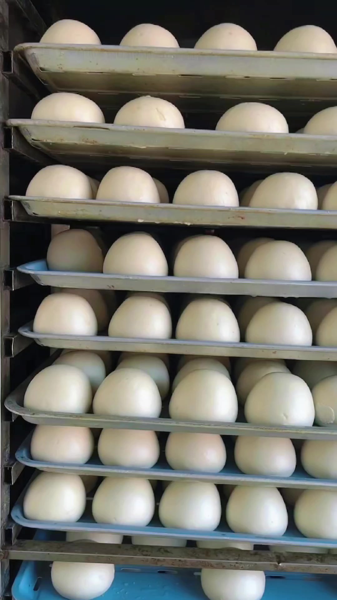 山东呛面千层馒头技术培训