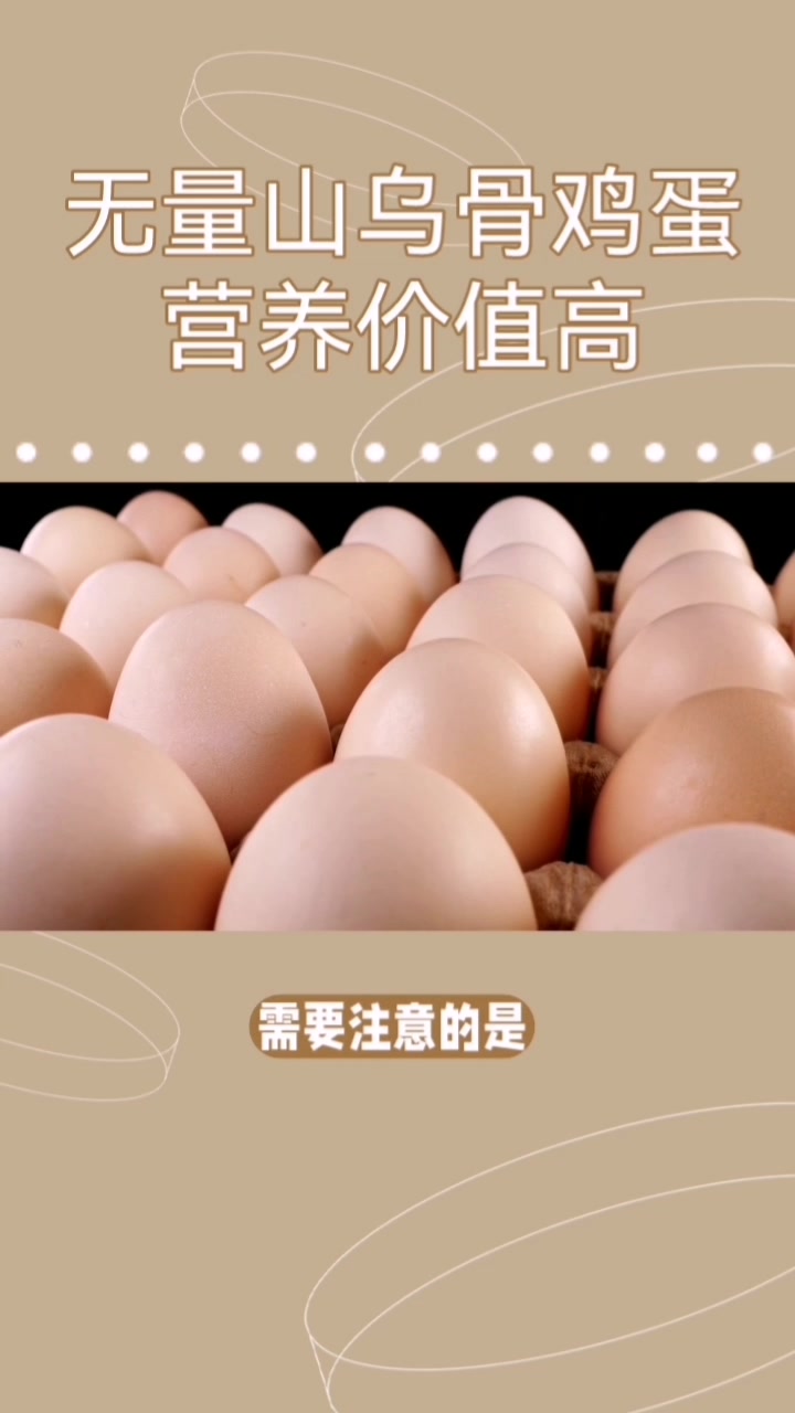 无量山乌骨鸡鸡蛋营养