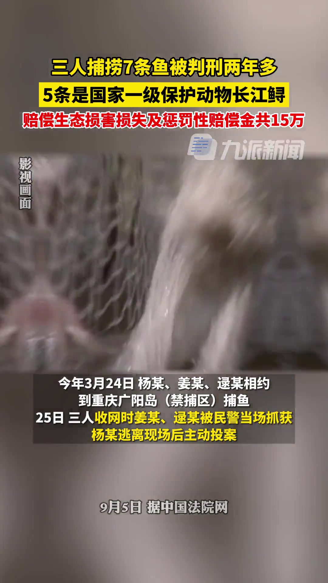 9月5日(发布时间),重庆3男子捕捞7条鱼被判刑两年多,其中5条是国家一级保护动物长江鲟,