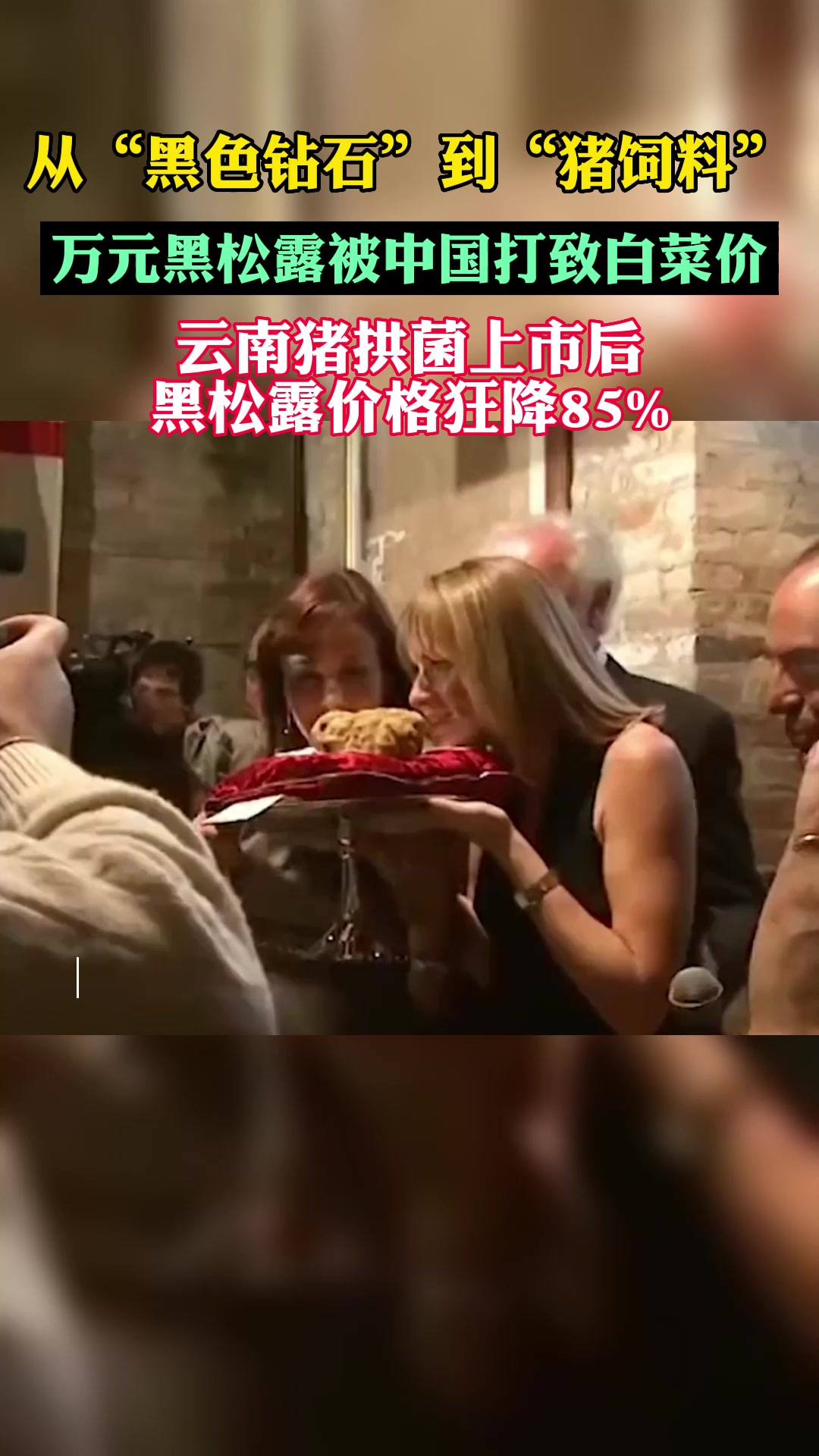 从“黑色钻石”到“猪饲料”万元黑松露被中国打致白菜价