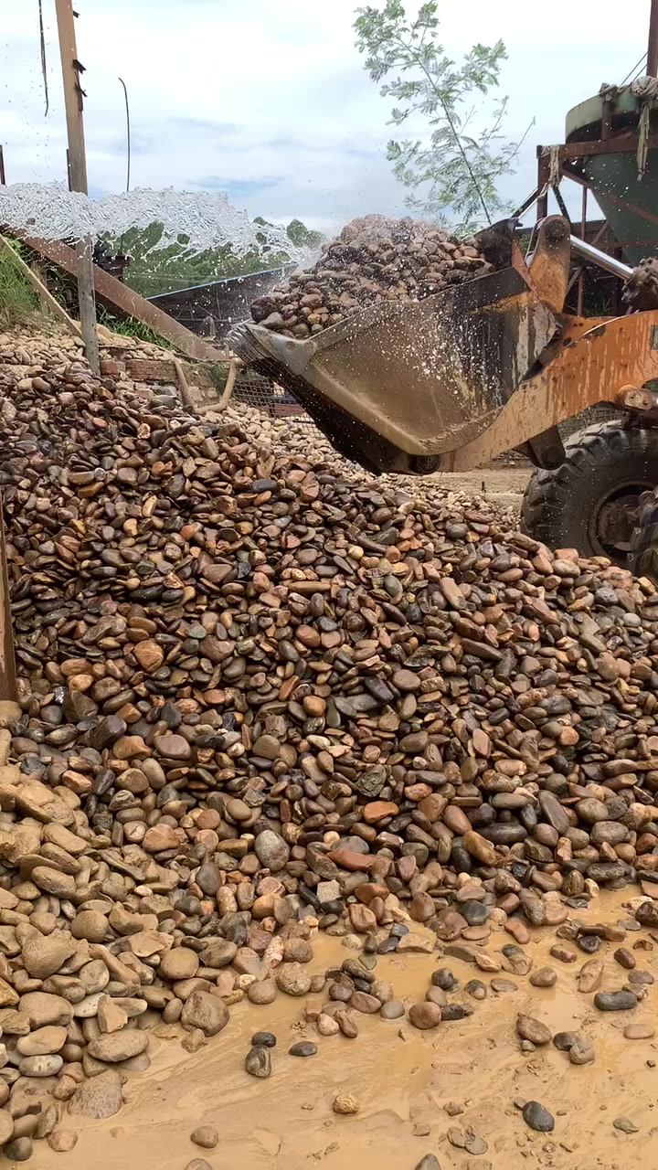 黄色鹅卵石,水洗鹅卵石,点缀石#鹅卵石 #户外鹅卵石地砖设计