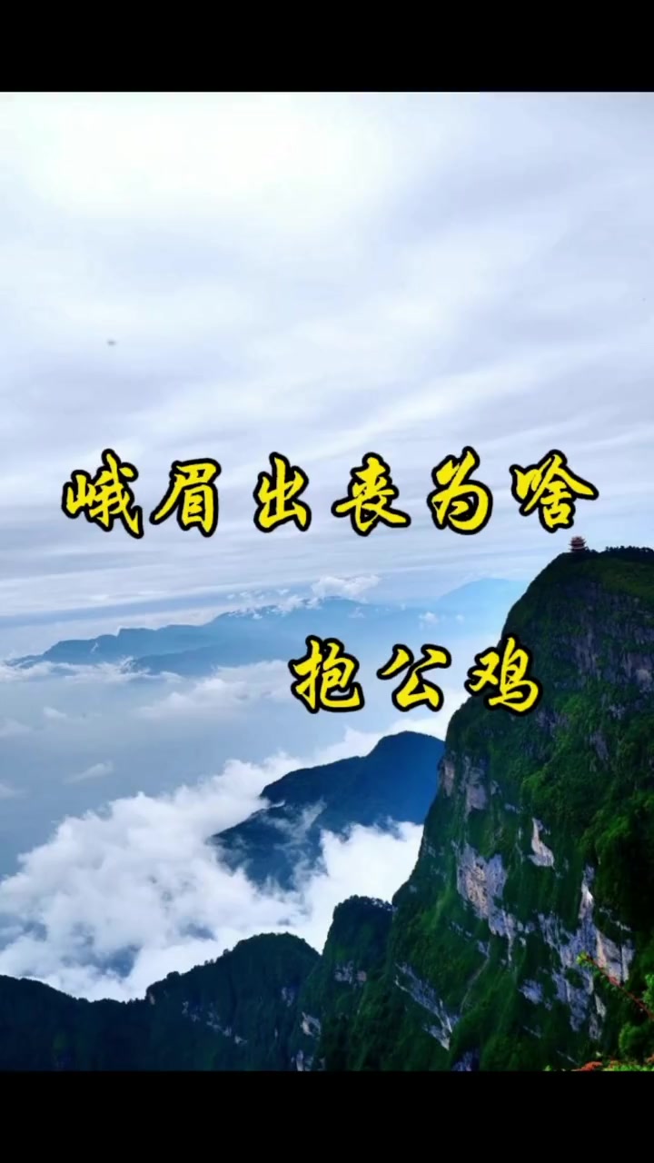 很多地方办丧事都要抱公鸡,为什么要抱公鸡而不要母鸡?风俗文化
