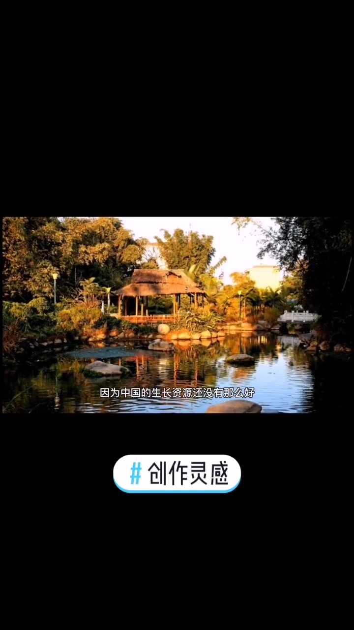 创作灵感 玩转淡水鱼之鲶鱼 万物皆有灵性 动物世界 鲶鱼 淡水鱼 科普 鱼 野生鲶鱼和养殖