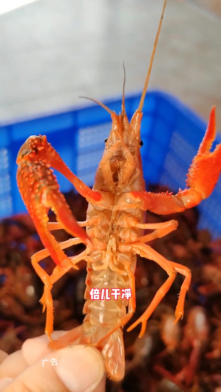 48.8吃烤鱼双人餐!新店开业第一波优惠!还不冲?手慢无!烤鱼 好吃不贵经济实惠 新店开业