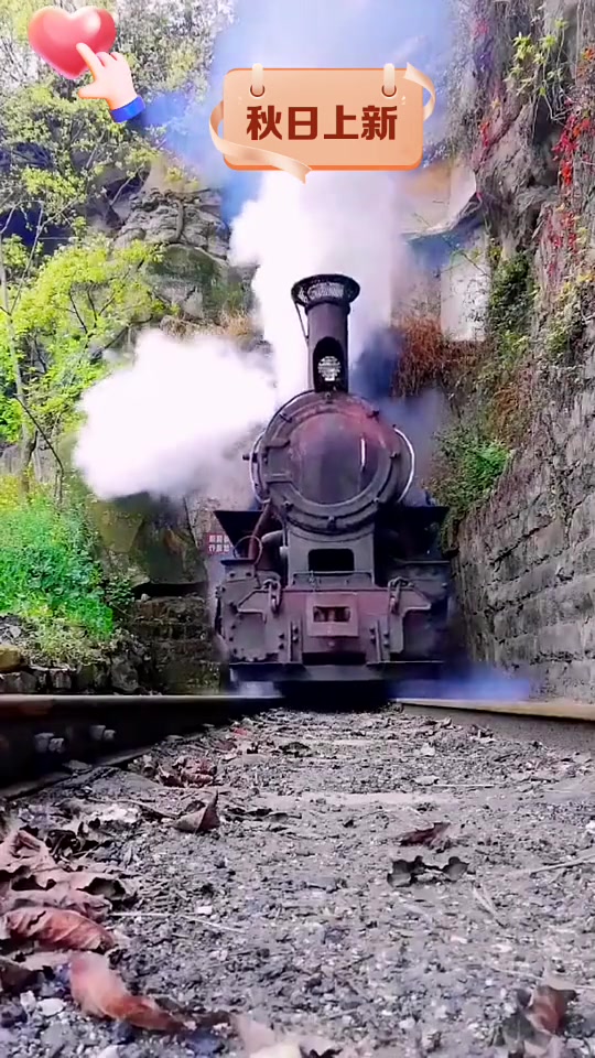 蒸汽机车是利用蒸汽机,把燃料(一般用煤)的化学能变成热能,再变成机械能,而使机车运行的一种