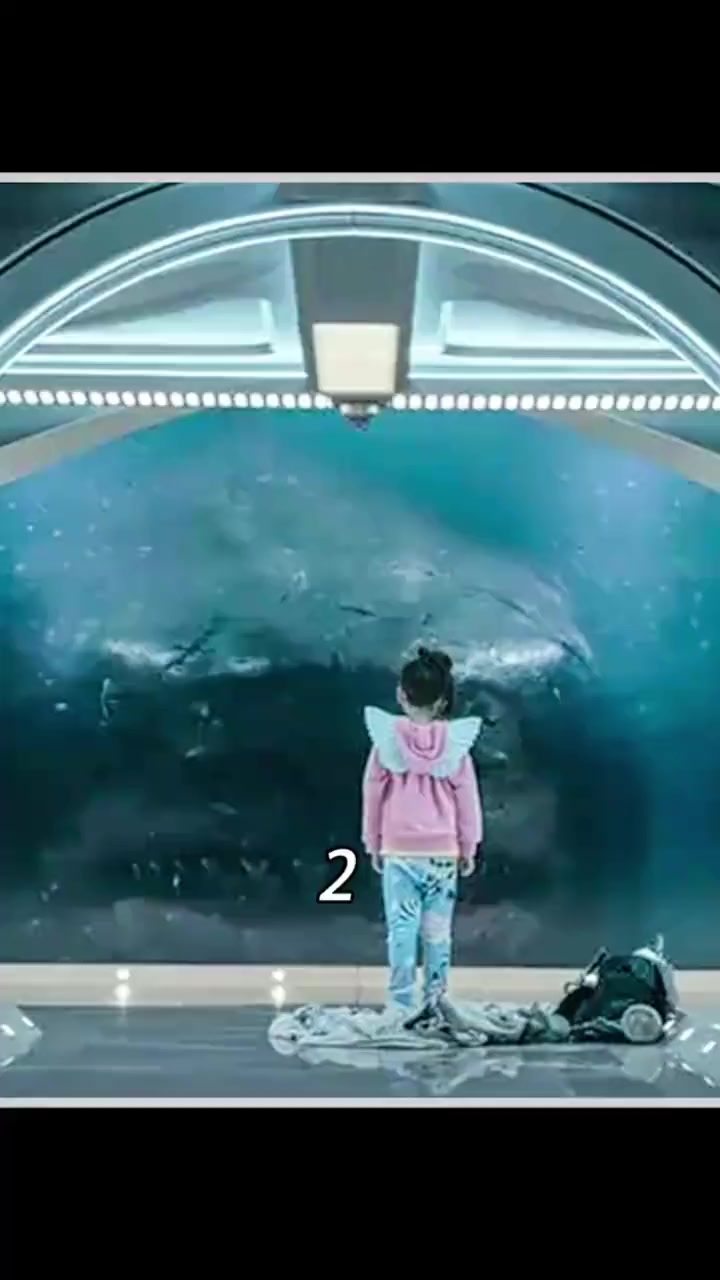 第2集 我要上热门话题 电影解说 远古巨兽,地球上最大的鲨鱼