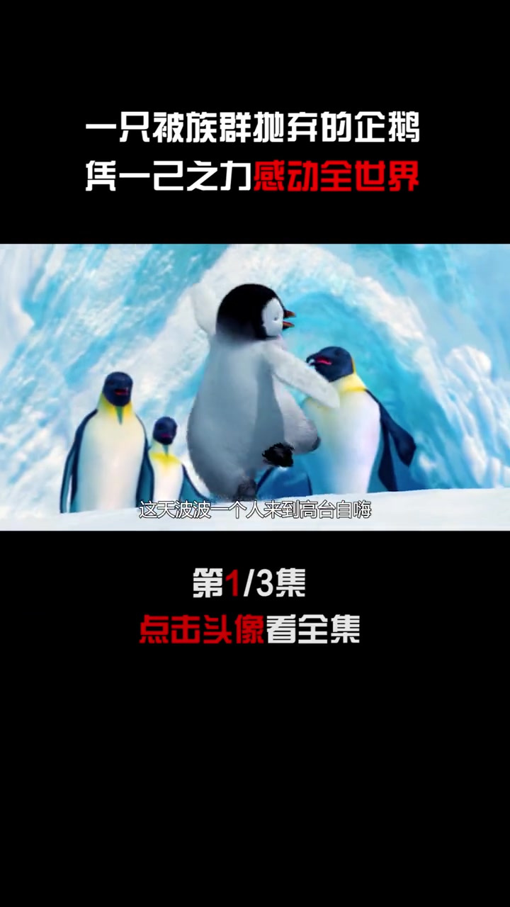 第1集 一只被族群抛弃的企鹅凭一己之力感动全世界