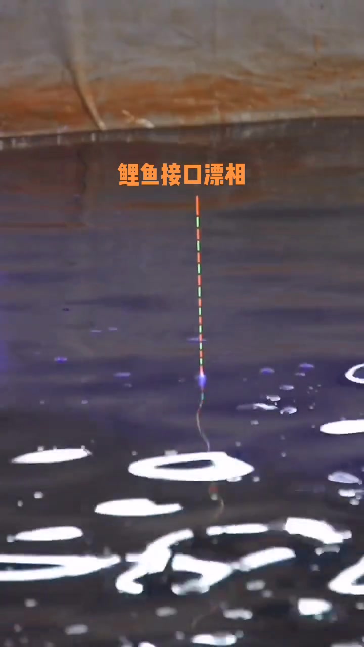 几场鲤鱼接口漂相合集欣赏浮漂吃铅2.8克,调12目 九门钓鱼 黑坑