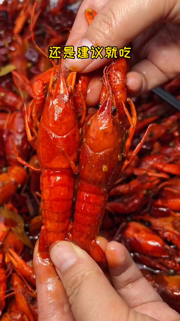 你们吃过黑色小龙虾嘛?