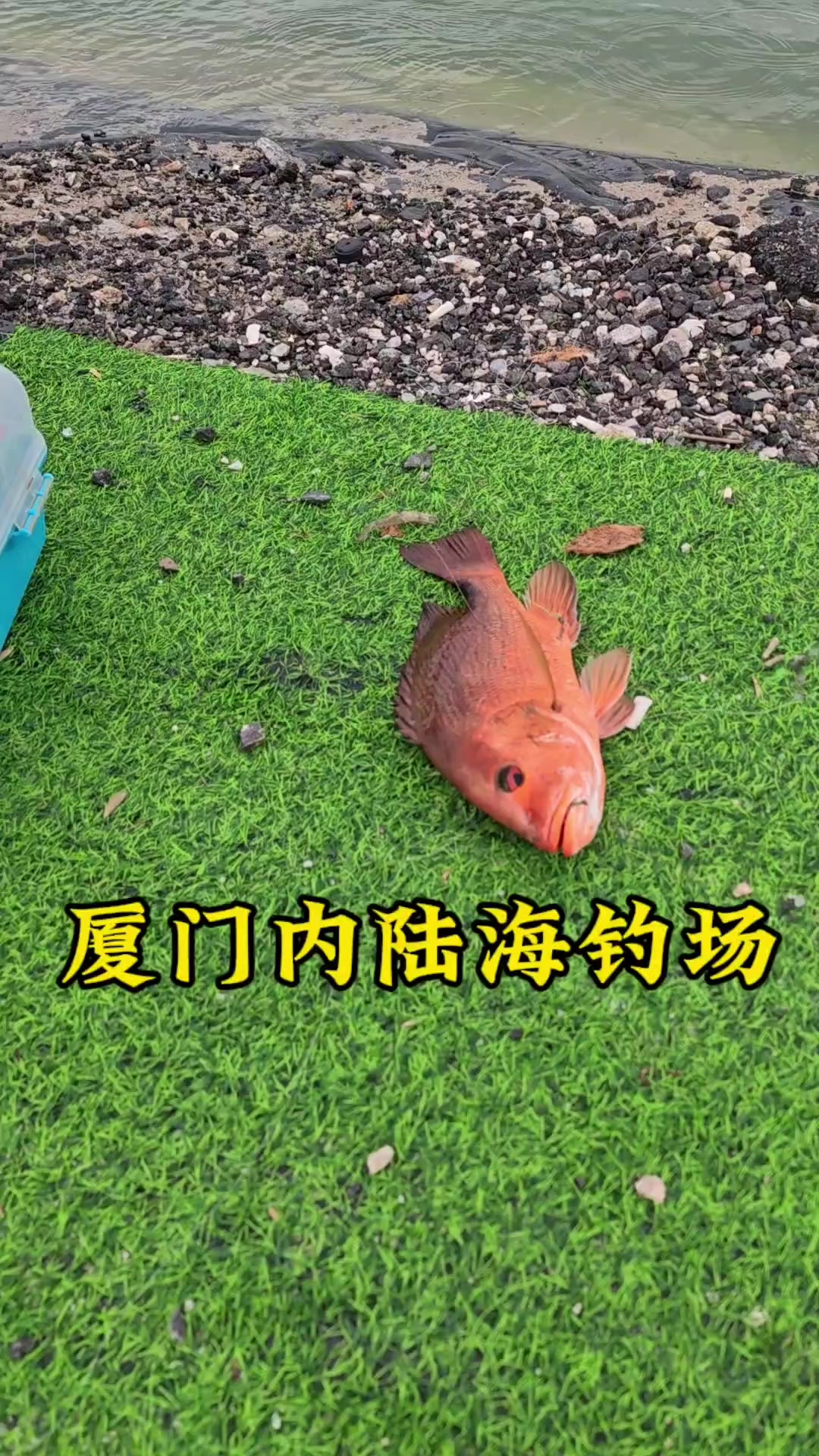 厦门内陆海钓场钓海水鱼要多少费用呢