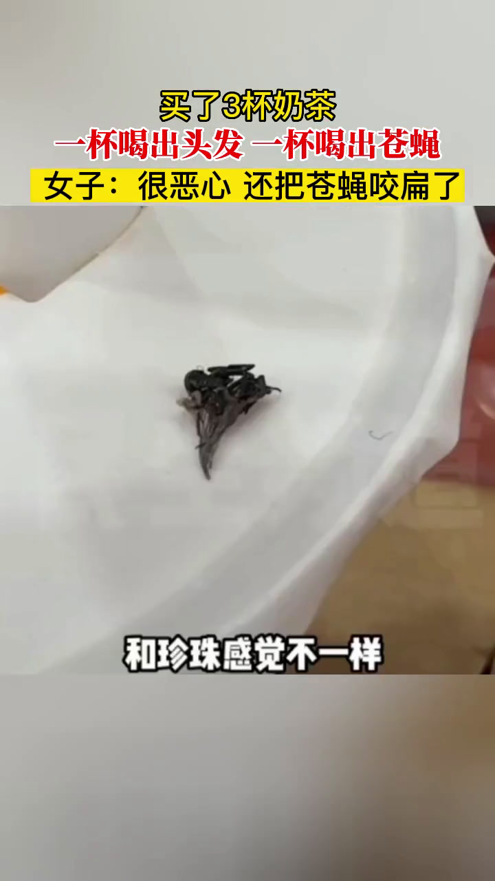 买了3杯奶茶 一杯喝出头发 一杯喝出苍蝇 女子:很恶心 还把苍蝇咬扁了