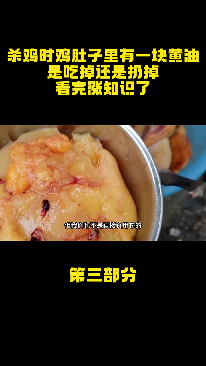 杀鸡时鸡肚子里有一块“黄油”,是吃掉还是扔掉?看完涨知识了 鸡肉 鸡油 黄油