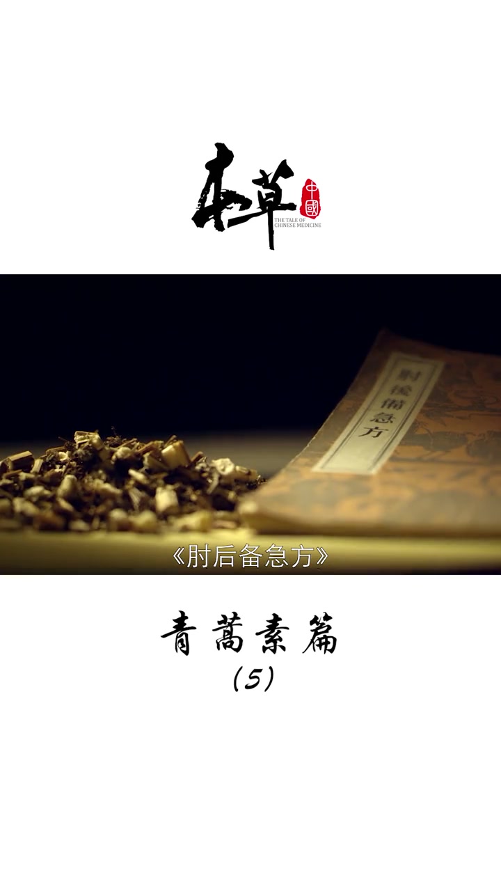 第14集 来源于中医的古典智慧,是否能为世界换取更多生的希望?