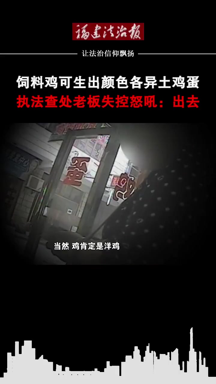 第79集 化妆土鸡蛋(二)饲料鸡可出生颜色各异土鸡蛋