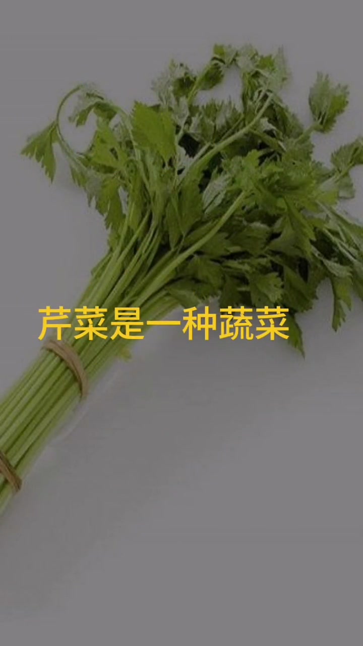 芹菜不能和菊花 芹菜当中它含的一些成分具有降压功效,对于这种原发性的,妊娠性的,或者更年期