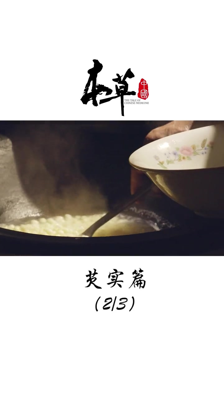第69集 在你们那芡实都怎么吃?鸡头米 芡实 本草中国