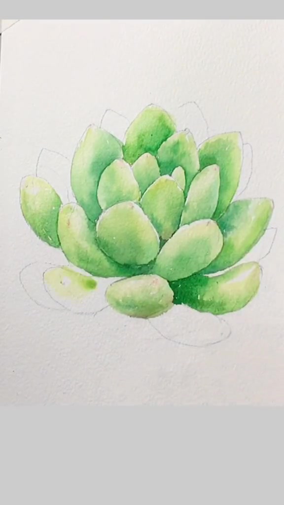 多肉100绘|21画春萌让你感受到了春天?多肉 手绘多肉 手绘多肉花盆 水彩