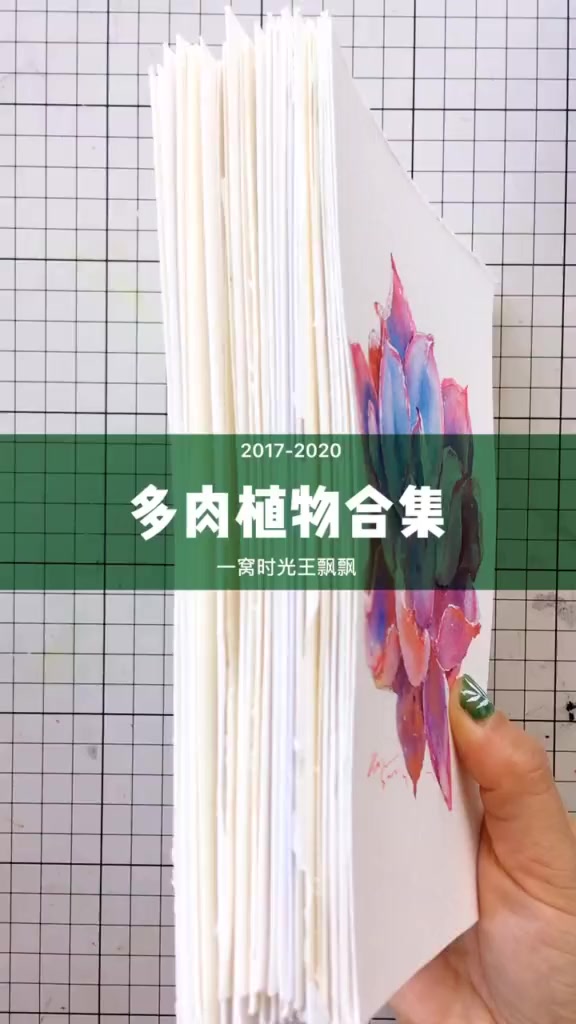 这个bgm节奏满足不了我,后面调快了!画的一部分多肉植物 手绘多肉