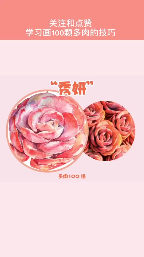 如何画出多肉植物秀妍的立体感?我的战疫时光 手绘多肉 水彩 多肉植物 画画