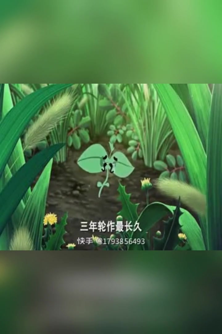 2020年大豆将再次成为“金豆子” 昊千生物丶山东长青;顶级大豆增产实战方案    1.泡