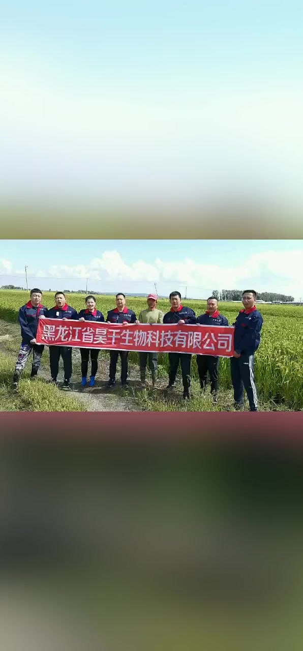 昊千生物丶山东长青;顶级大豆增产实战方案    1.泡叶藻(小棉袄升级)_拌种苗齐苗壮抗 