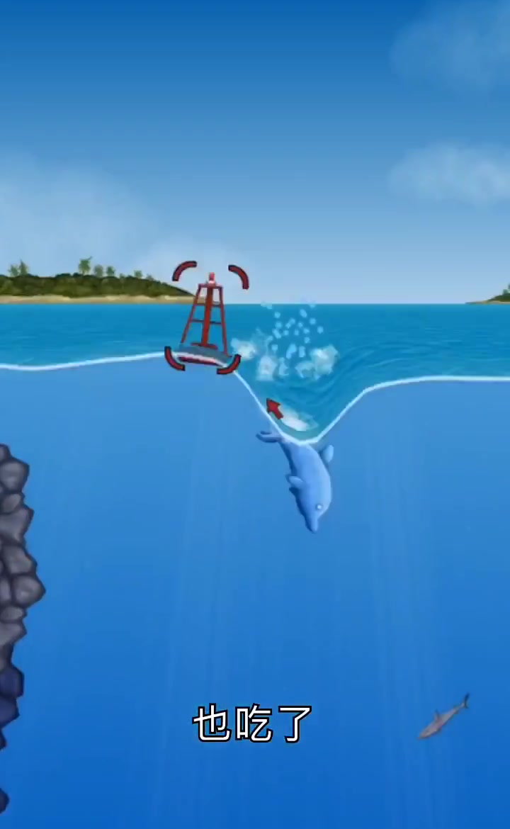 小海腾太厉害啦!