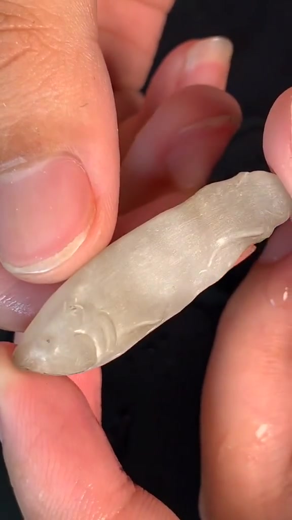 金龙鱼象征着吉祥富贵~