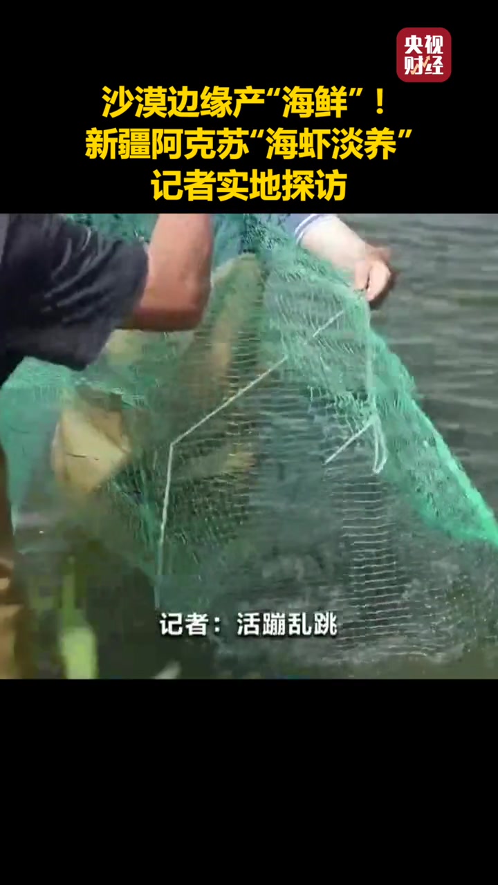 沙漠边缘产“海鲜”!新疆阿克苏海虾淡养 新疆产海鲜 记者实地探访