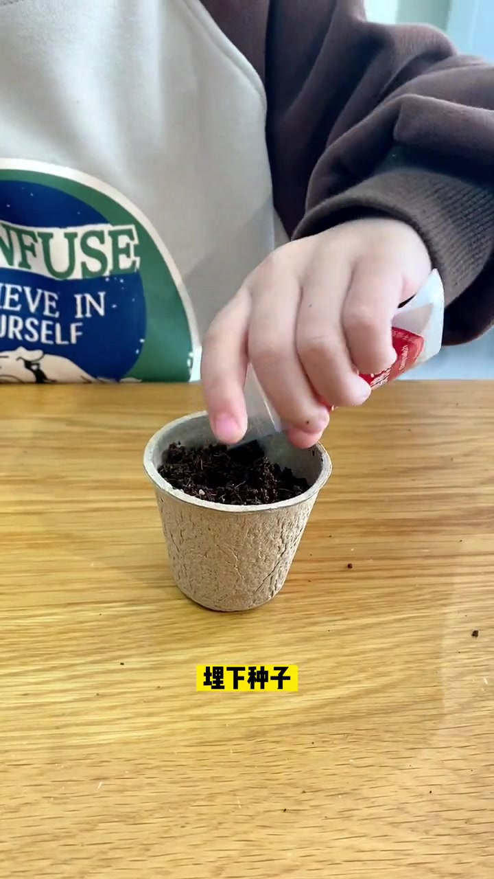 和孩子一起种菜吧,亲手播种,让孩子近距离观察植物生长过程,体验种植蔬菜的乐趣 益智玩具 家